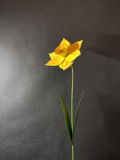 Ozdoba Ogrodowa - Narcyz - 9874