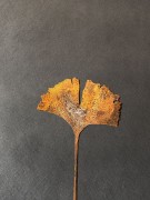 Ozdoba Rdzą Malowane - Miłorząb