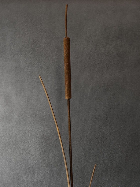 Ozdoba Rdzą Malowana - Pałka Wodna