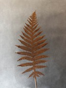 Ozdoba Rdzą Malowana - Liść Paproci 2