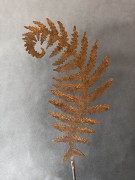 Ozdoba Rdzą Malowana - Liść Paproci 4