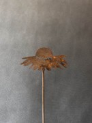 Ozdoba Rdzą Malowana - Jeżówka 2