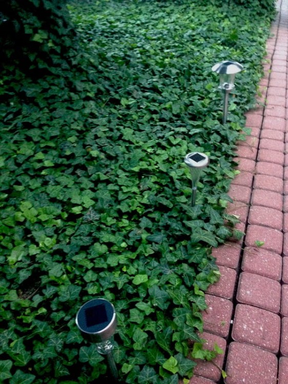 Lampa Solarna LED - L21117