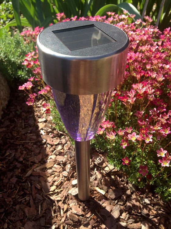 Stargazer - stożek - L26240