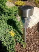 Stargazer - stożek - L26240