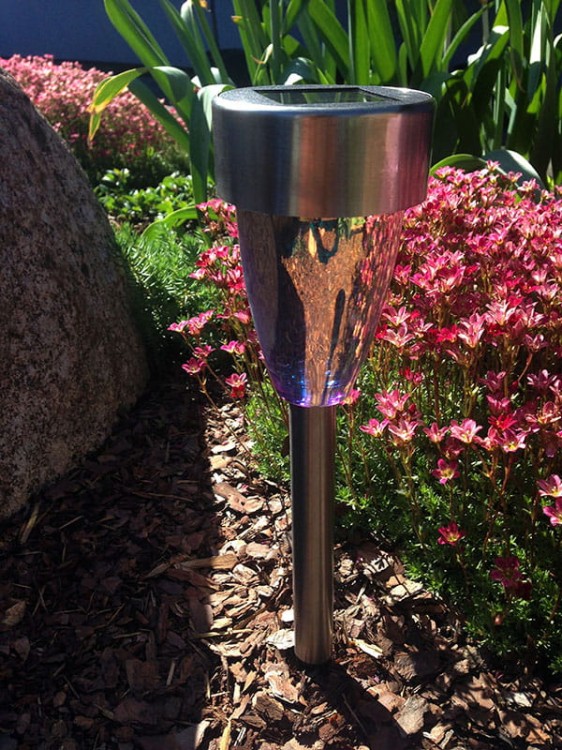 Stargazer - stożek - L26240