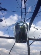 Stargazer - kielich wiszący - L26267