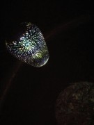 Stargazer - kielich wiszący - L26267