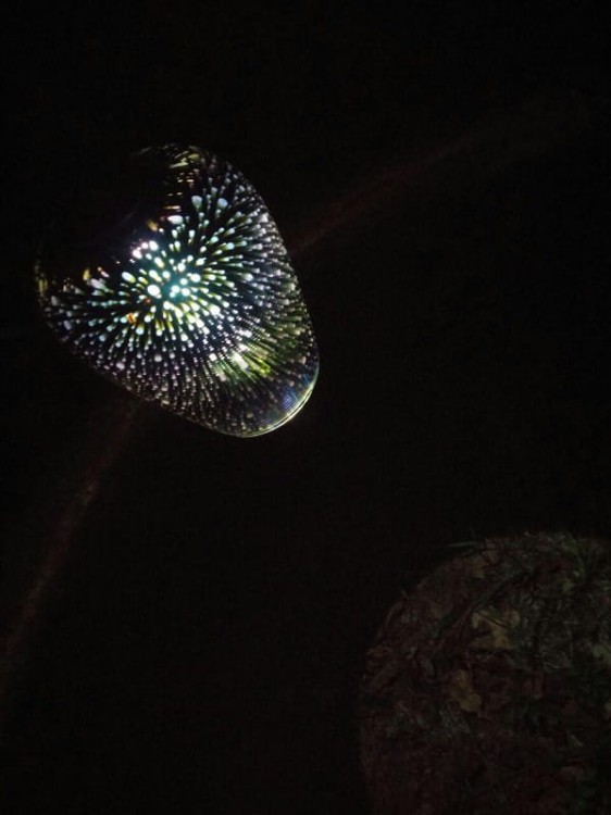 Stargazer - kielich wiszący - L26267