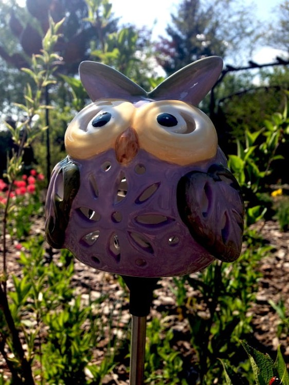 Dekoracyjna Lampa Solarna - Sowa - L21114