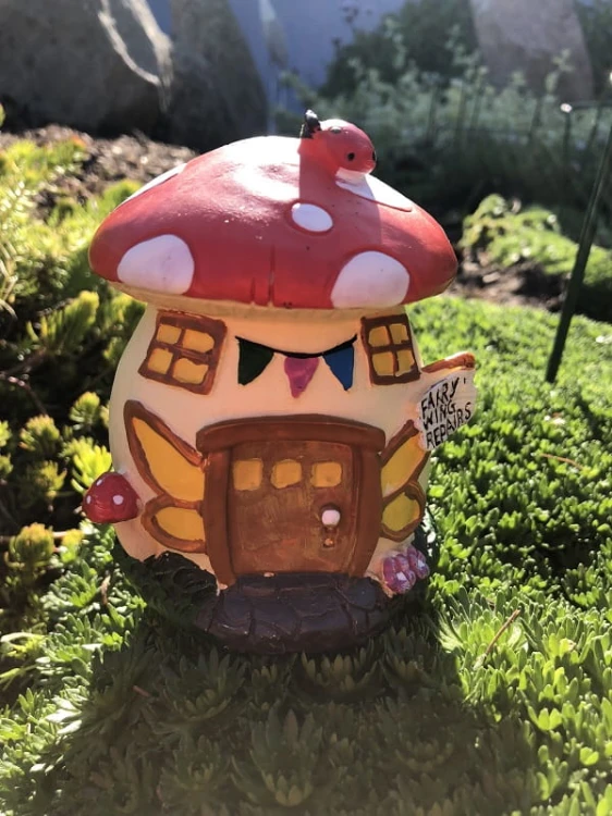 Magiczny domek mini