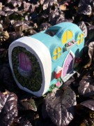 Magiczny domek mini