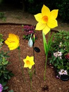 Ozdoba Ogrodowa - Narcyz - 9872