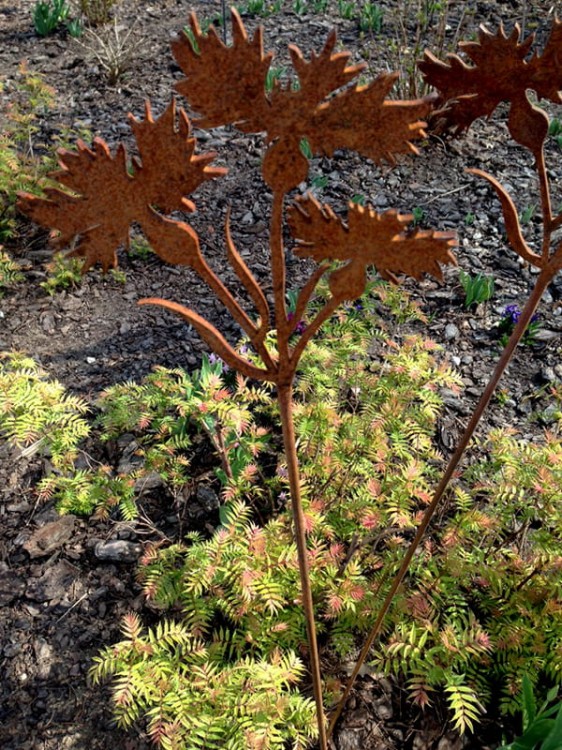 Ozdoba Rdzą Malowana - Chaber