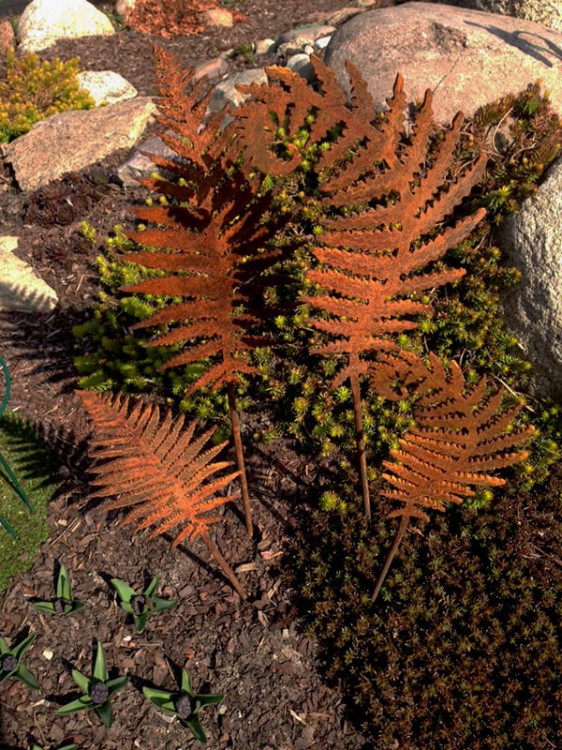 Ozdoba Rdzą Malowana - Liść Paproci 4