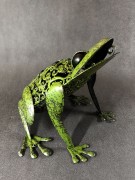 Żaba Solarna - 1050113