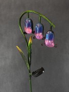 Kwiat Solarny - dzwonki - 1012534