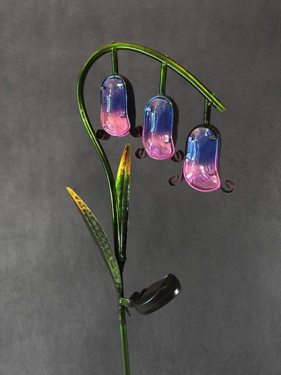 Kwiat Solarny - dzwonki - 1012534