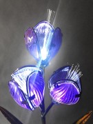 Kwiat Solarny - Krokus - 1012542