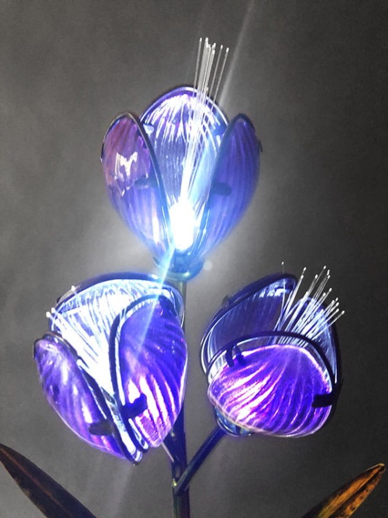 Kwiat Solarny - Krokus - 1012542