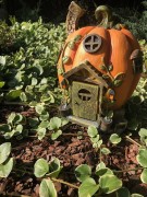 Magiczny Domek - Dynia - 1020988