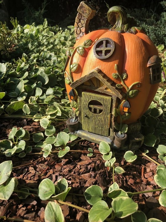 Magiczny Domek - Dynia - 1020988