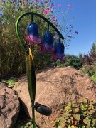 Kwiat Solarny - dzwonki - 1012534