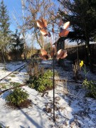 Rzeźba Wiatrowa - Copper Beech - SP565