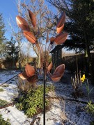 Rzeźba Wiatrowa - Copper Beech - SP565