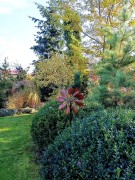 Rzeźba Wiatrowa - Hampton - SP400