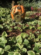 Ozdoba Ogrodowa - Magiczny Domek - Dynia - 1020988