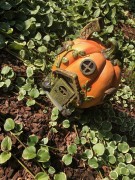 Ozdoba Ogrodowa - Magiczny Domek - Dynia - 1020988