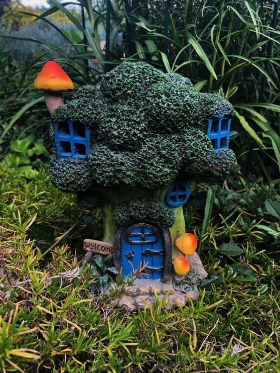 Ozdoba Tarasowa - Magiczny Domek - Brokuł - 5033010