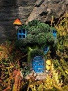 Ozdoba Tarasowa - Magiczny Domek - Brokuł - 5033010