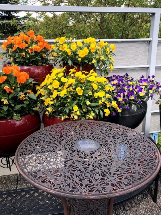 Solarny Stolik - Ozdoba Ogrodowa - 1030940