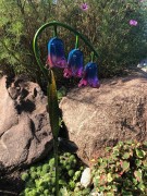 Kwiat Solarny - Dzwonki - 1012534