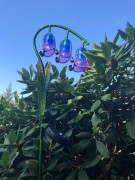 Kwiat Solarny - Dzwonki - 1012534