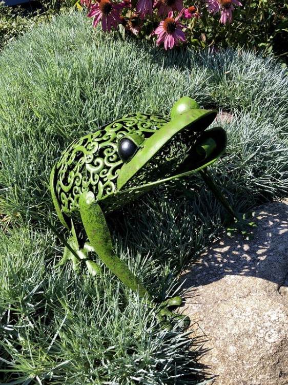 Ozdoba Ogrodowa - Żaba Solarna - 1050113