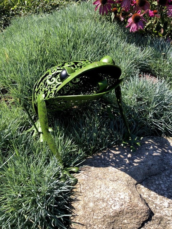 Ozdoba Ogrodowa - Żaba Solarna - 1050113