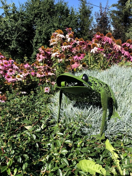 Ozdoba Ogrodowa - Żaba Solarna - 1050113