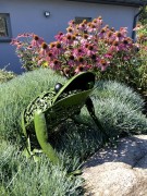 Ozdoba Ogrodowa - Żaba Solarna - 1050113