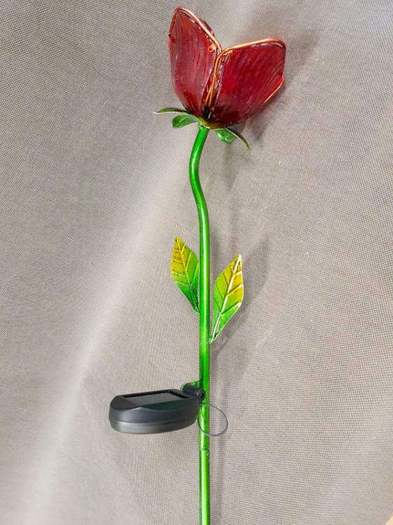 Kwiat Solarny - Róża - 1012538