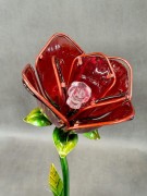 Kwiat Solarny - Róża - 1012538