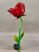 Kwiat Solarny - Róża - 1012538