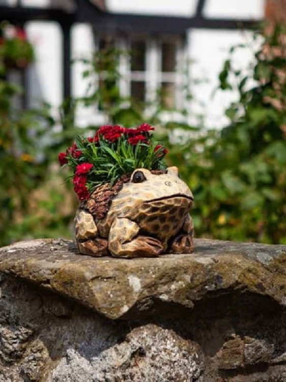 Doniczka Ozdobna - Żabka - 5071006