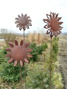 Ozdoba Ogrodowa Rdzą Malowana - Słonecznik