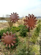 Ozdoba Ogrodowa Rdzą Malowana - Słonecznik