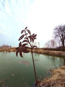 Ozdoba Ogrodowa Rdzą Malowana - Lilia
