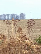 Ozdoba Ogrodowa Rdzą Malowana - Aminek