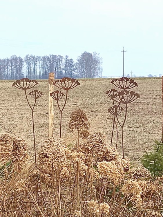 Ozdoba Ogrodowa Rdzą Malowana - Aminek